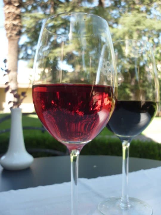 Local food in Argentina