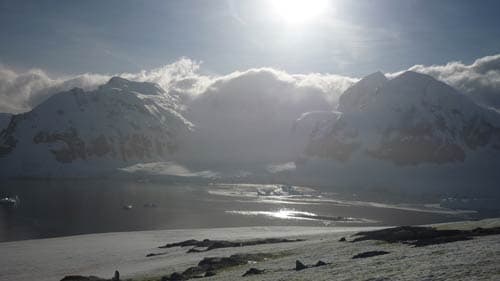 Local food in Antarctica