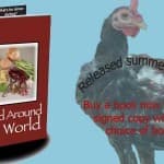 Travel destinations around the world