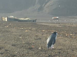 Antarctica (63°01'S 61°58'W)