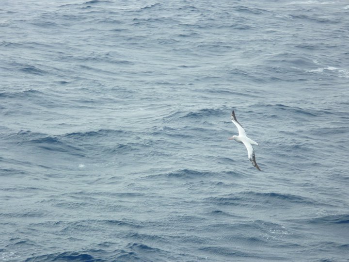 Antarctica (60°00'S 64°19'W)