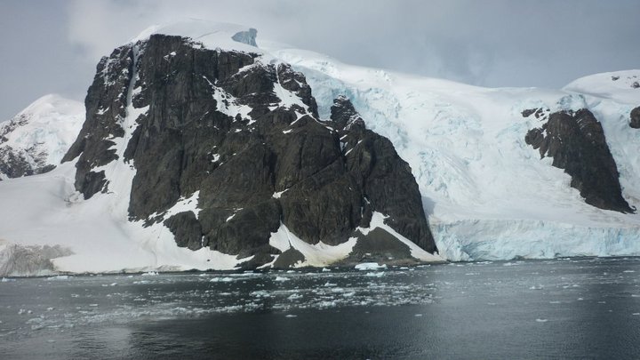 Chilling and Cute Antarctica Videos