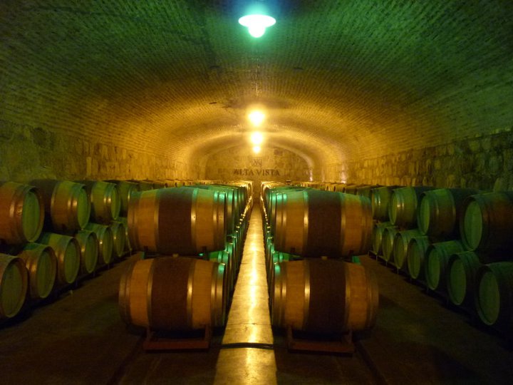 cellar