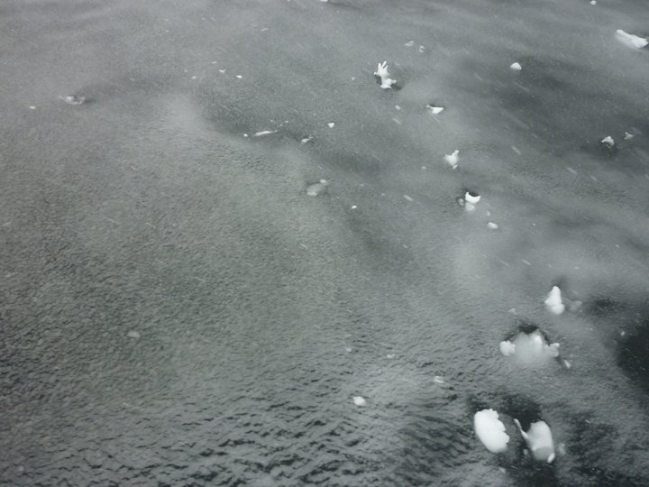 Antarctica (64°72'S 63°17'W)