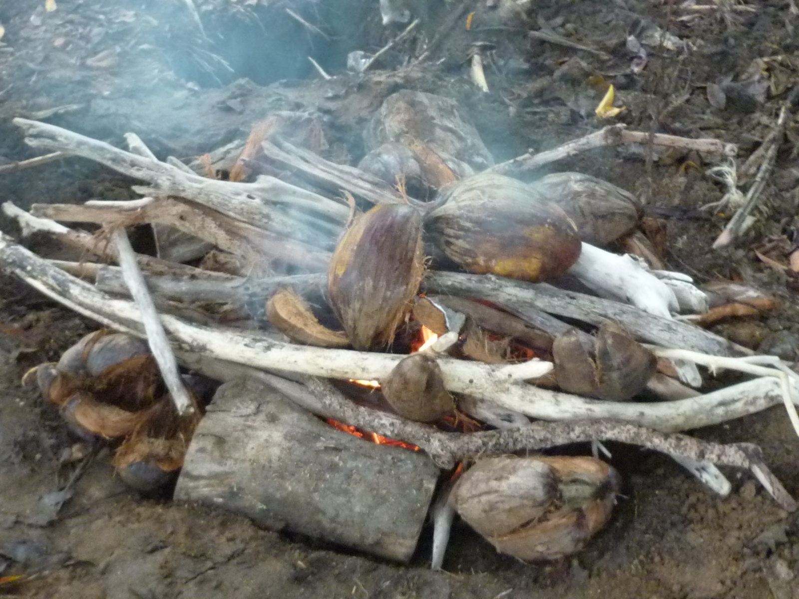 Local food in Fiji