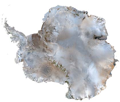 Local Dishes in Antarctica