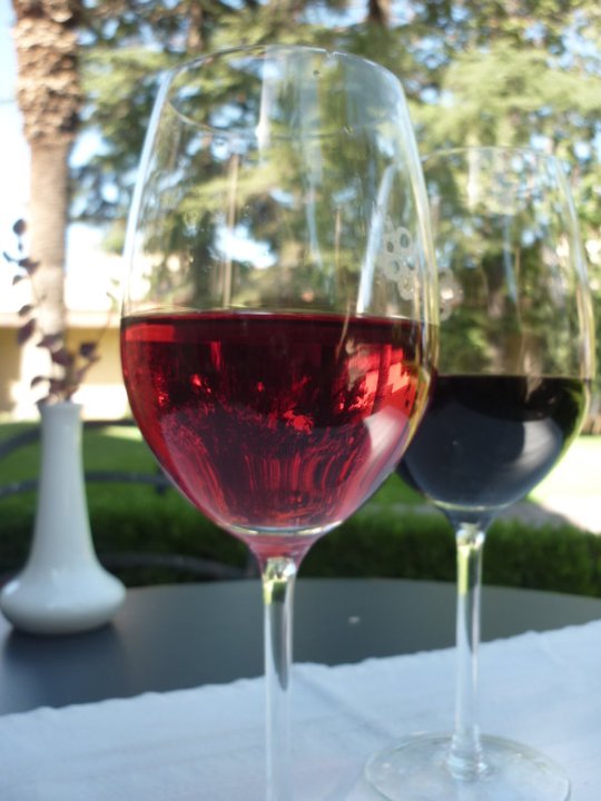 Local food in Argentina