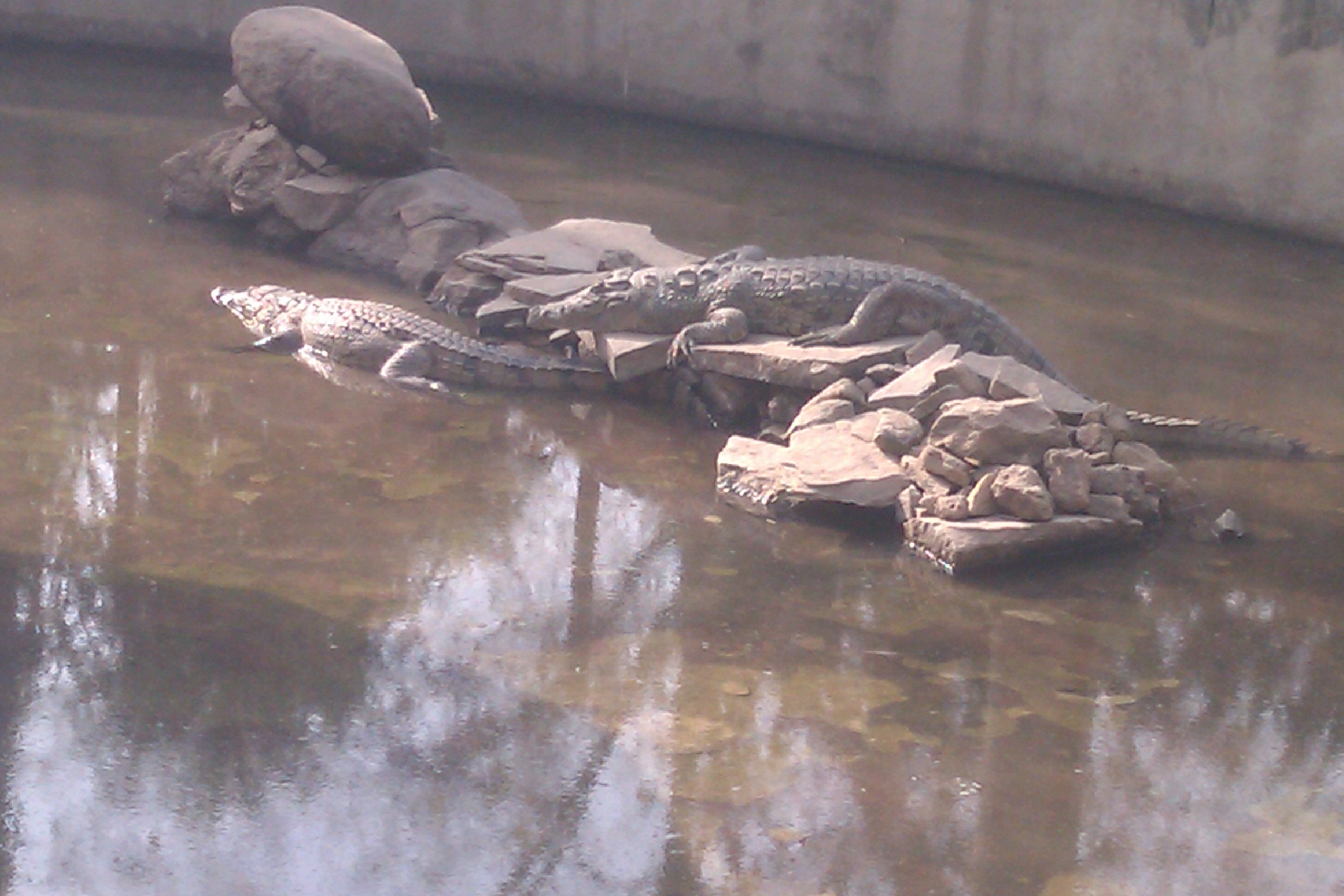 Gamji Gates – Tourist Attraction and Lovers Corner In Kaduna City, Nigeria